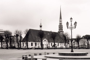 Heide in Dithmarschen