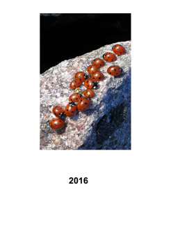 Kalender 2016
